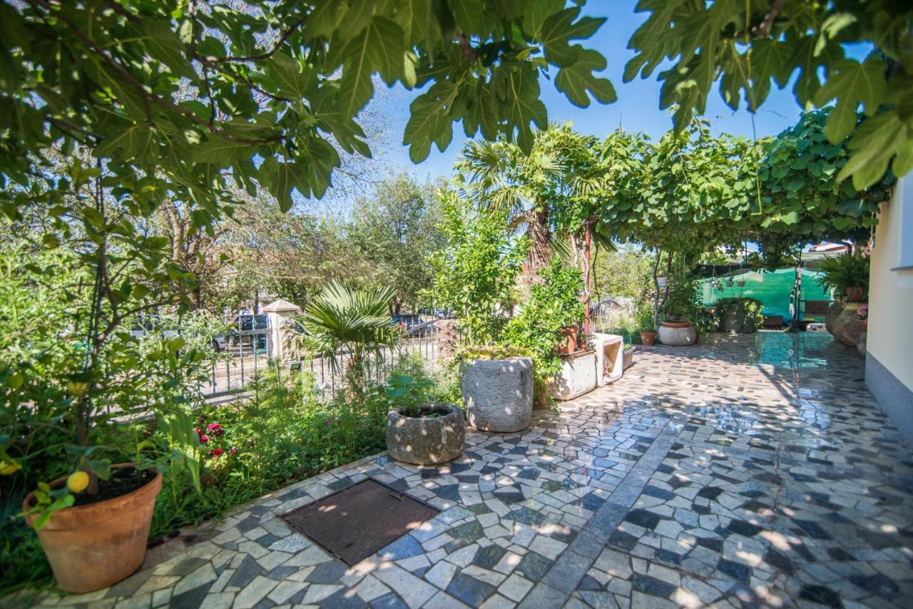 Apartmani Marina 포레치 외부 사진